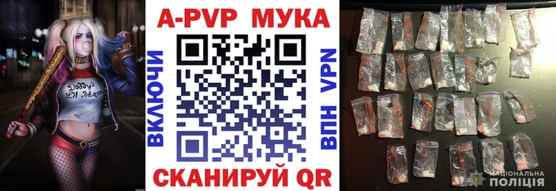 Альфа ПВП СК КРИС Елизово