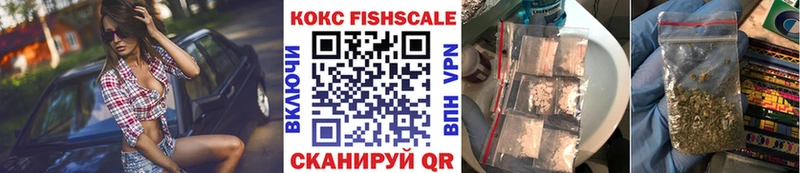 Cocaine Эквадор  кракен вход  Елизово 
