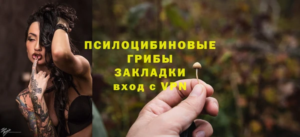 молекула духа Лагань