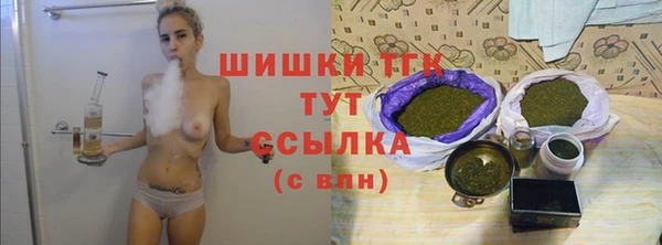 PSILOCYBIN Алзамай