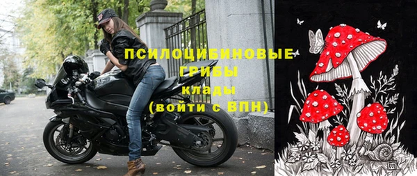 молекула духа Лагань