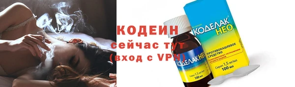 молекула духа Лагань