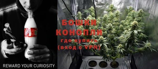 молекула духа Лагань
