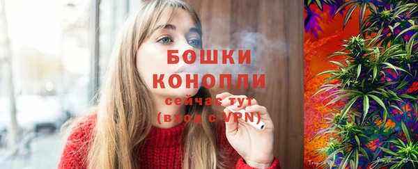 ПСИЛОЦИБИНОВЫЕ ГРИБЫ Ладушкин
