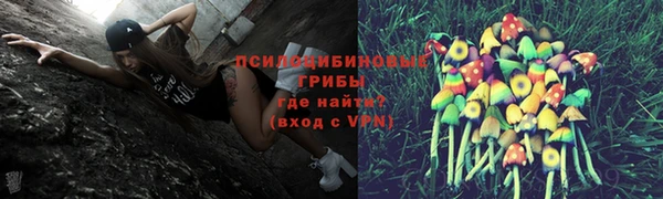 молекула духа Лагань
