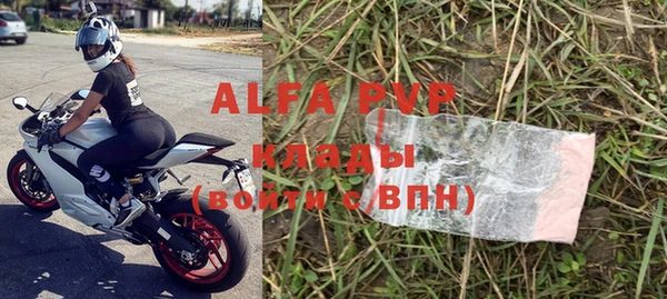 индика Алексин