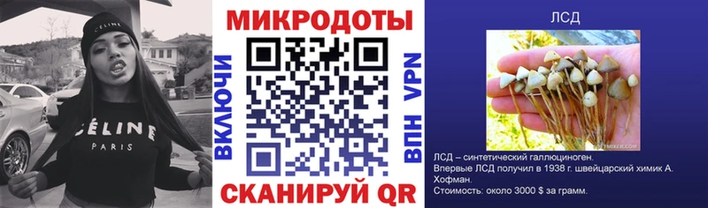 Псилоцибиновые грибы прущие грибы  Елизово 