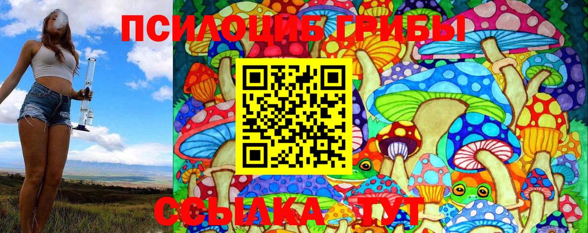 Псилоцибиновые грибы Psilocybe  Елизово 