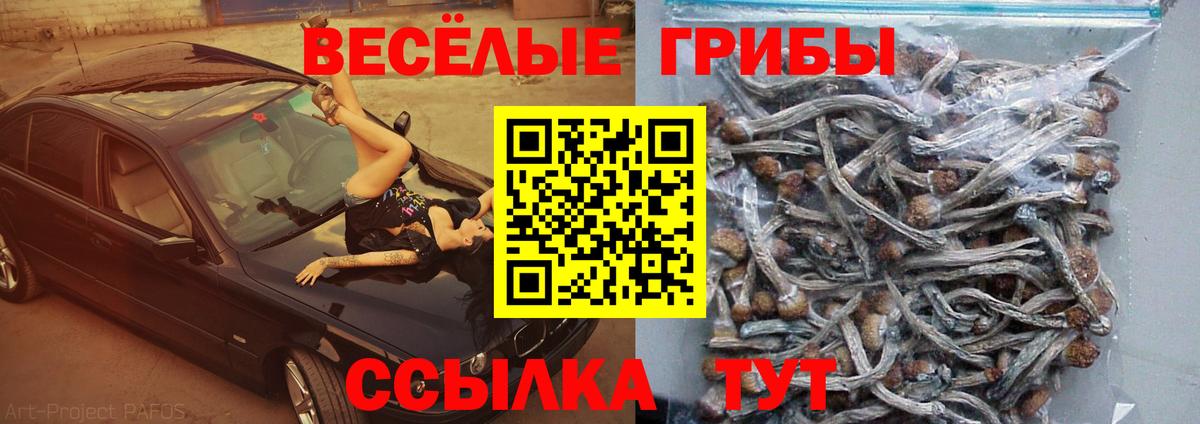 Псилоцибиновые грибы мицелий  Галлюциногенные грибы Magic Shrooms  Вход с VPN  Елизово 