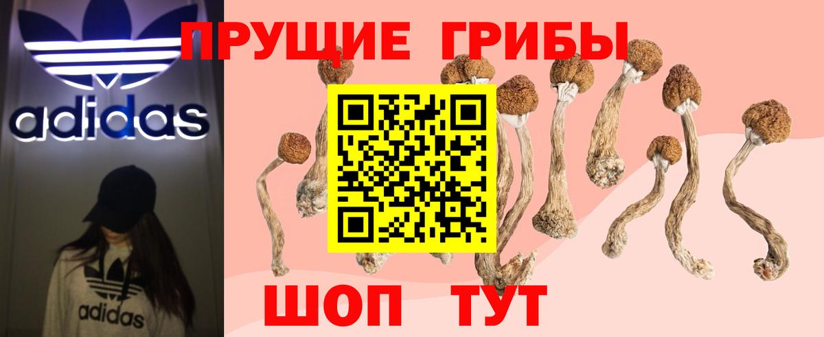 Псилоцибиновые грибы GOLDEN TEACHER Елизово